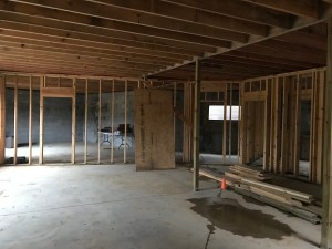 Basement Framing