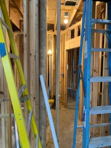 Lights in the powder room