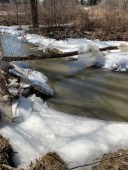 Creek begins to thaw and run